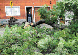 Inconvenientes. Los árboles caídos por los fuertes vientos  cortaron varias calles.